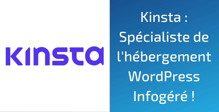 Kinsta- article -digipotens