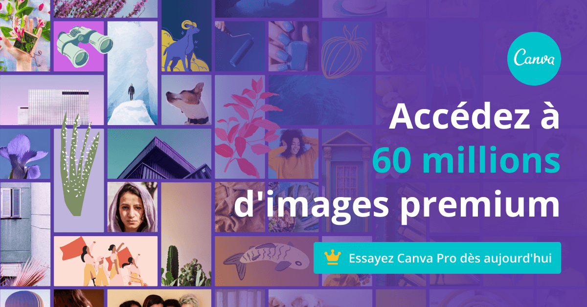 Canva - premium